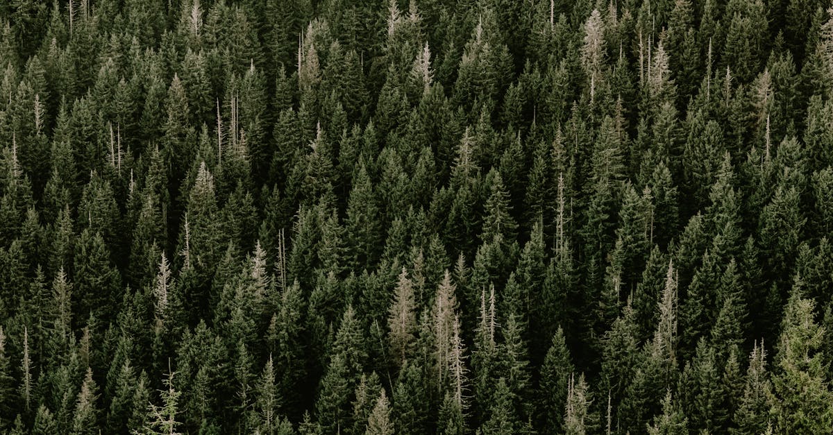 découvrez l'habitabilité durable, un concept innovant qui allie confort, écologie et respect de l'environnement. explorez des solutions pour rendre votre habitat efficace et responsable, tout en minimisant son empreinte carbone.