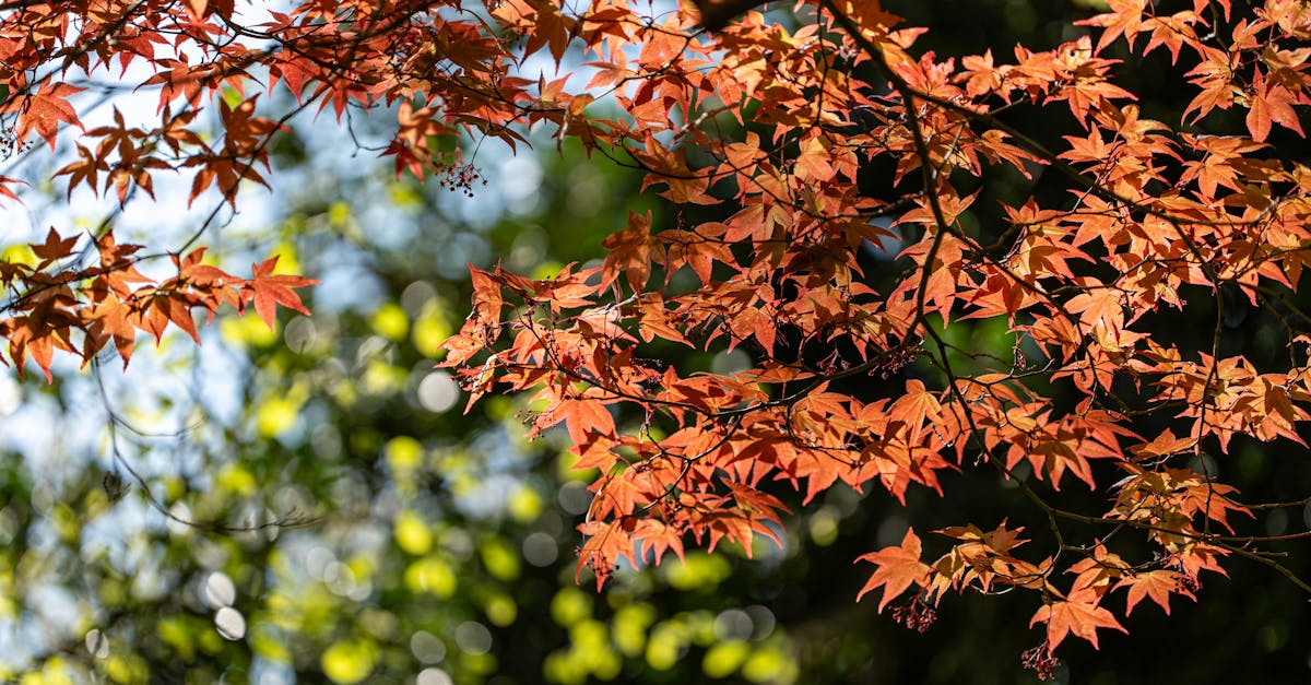 découvrez les stratégies efficaces pour opérer un changement de comportement durable. apprenez à surmonter les obstacles, à adopter de nouvelles habitudes et à transformer votre vie grâce à des méthodes pratiques et des conseils inspirants.