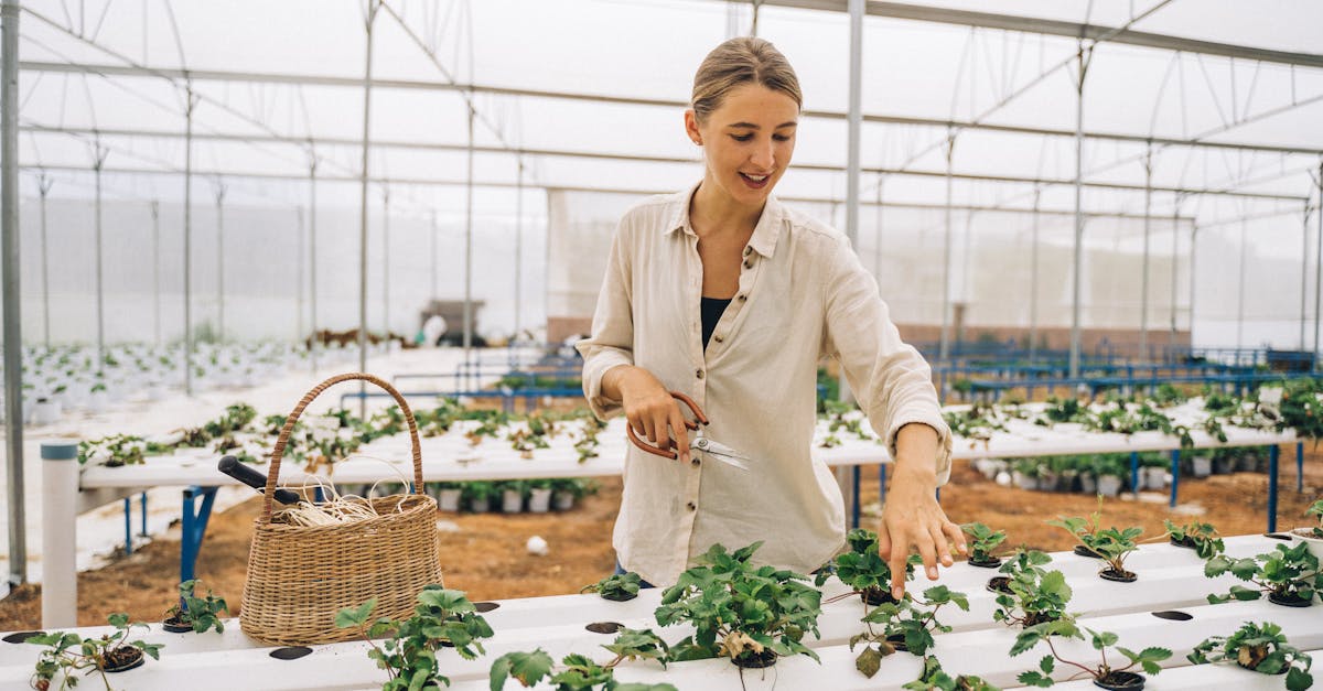 découvrez l'agriculture urbaine, une pratique durable qui transforme les villes en espaces de culture. explorez les bienfaits de cultiver des légumes et des plantes dans nos environnements urbains, favorisant la biodiversité, la sécurité alimentaire et un mode de vie sain.