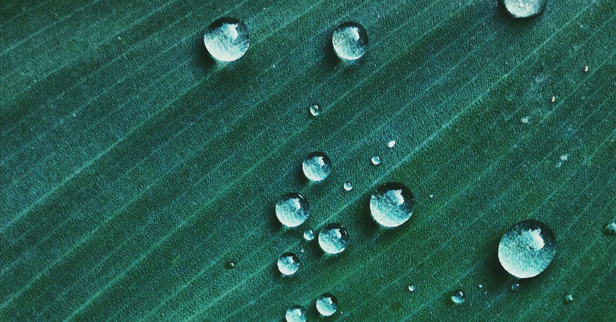 découvrez l'importance de la transparence dans nos interactions et nos prises de décision. explorez comment cette valeur fondamentale favorise la confiance, l'intégrité et l'ouverture dans les relations personnelles et professionnelles.