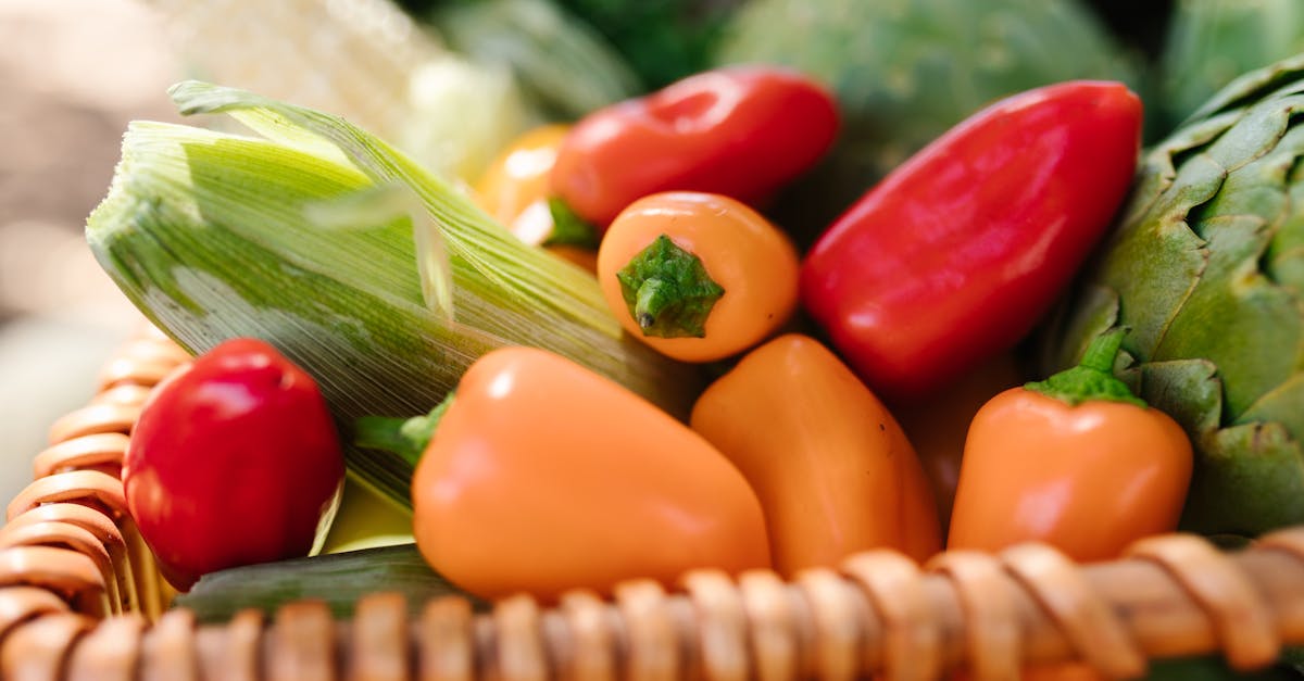 découvrez les enjeux et les stratégies d'une urbanisation durable, alliant développement économique et protection de l'environnement. plongez dans les solutions innovantes pour des villes plus vertes et inclusives.