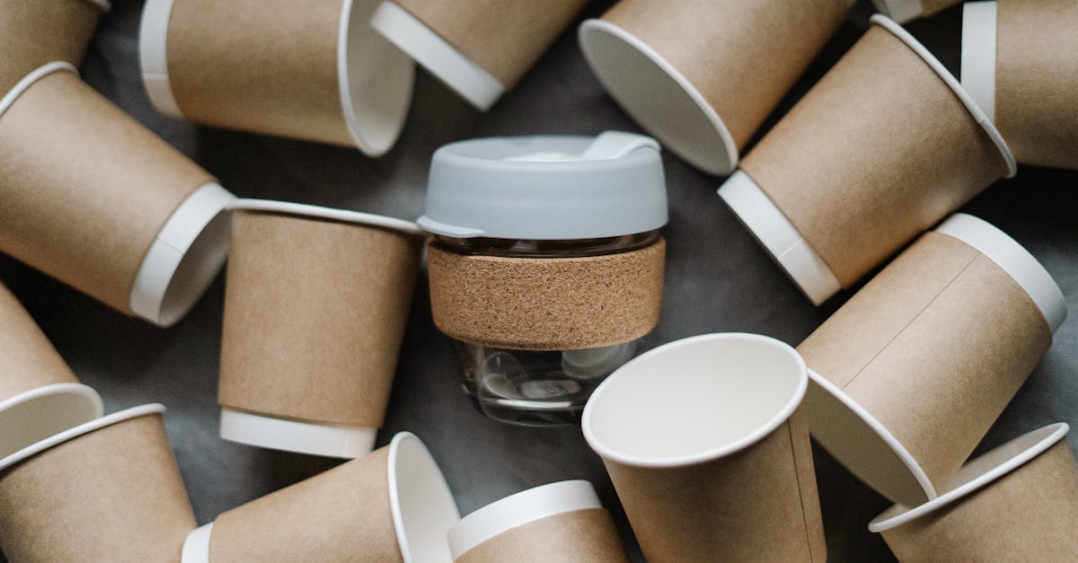 découvrez l'empreinte écologique, un indicateur clé de l'impact de nos activités sur l'environnement. apprenez comment réduire votre empreinte pour préserver notre planète et adopter un mode de vie plus durable.