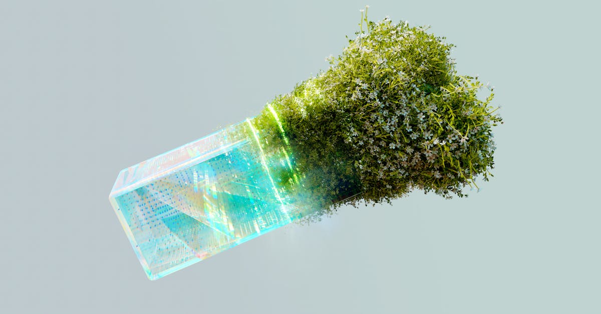 découvrez les dernières tendances en matière d'innovation écologique. explorez des solutions durables, des technologies vertes et des initiatives qui transforment notre avenir tout en protégeant notre planète.