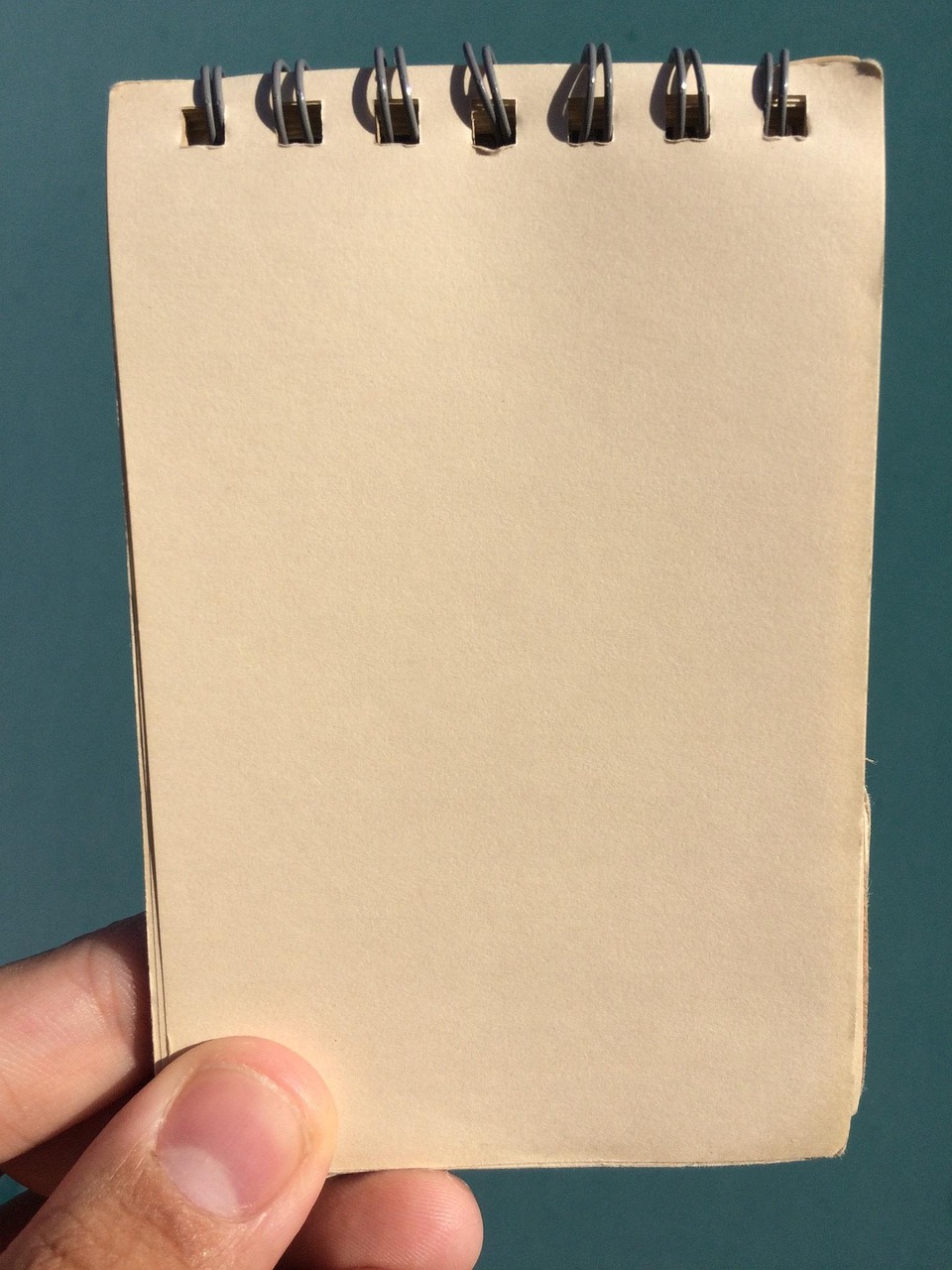 découvrez comment un budget vert peut favoriser le développement durable en intégrant des pratiques écologiques dans la gestion financière.