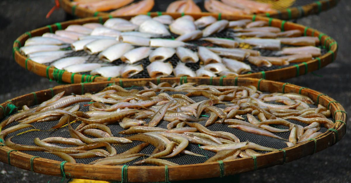 découvrez comment la culture durable transforme nos pratiques quotidiennes en alliant respect de l'environnement, innovation et préservation des traditions. imprégnez-vous des valeurs écoresponsables et des initiatives qui façonnent un avenir meilleur.