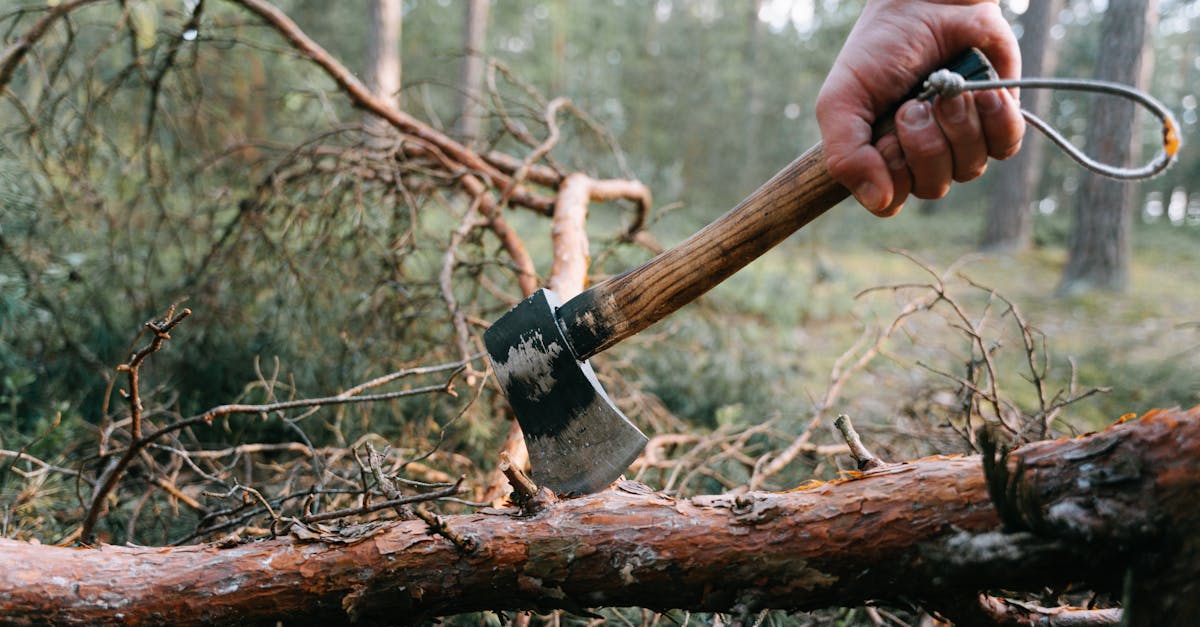 découvrez des stratégies innovantes et éthiques pour un management durable. apprenez à intégrer des pratiques écoresponsables dans votre entreprise et à promouvoir un développement harmonieux entre performance économique et respect de l'environnement.