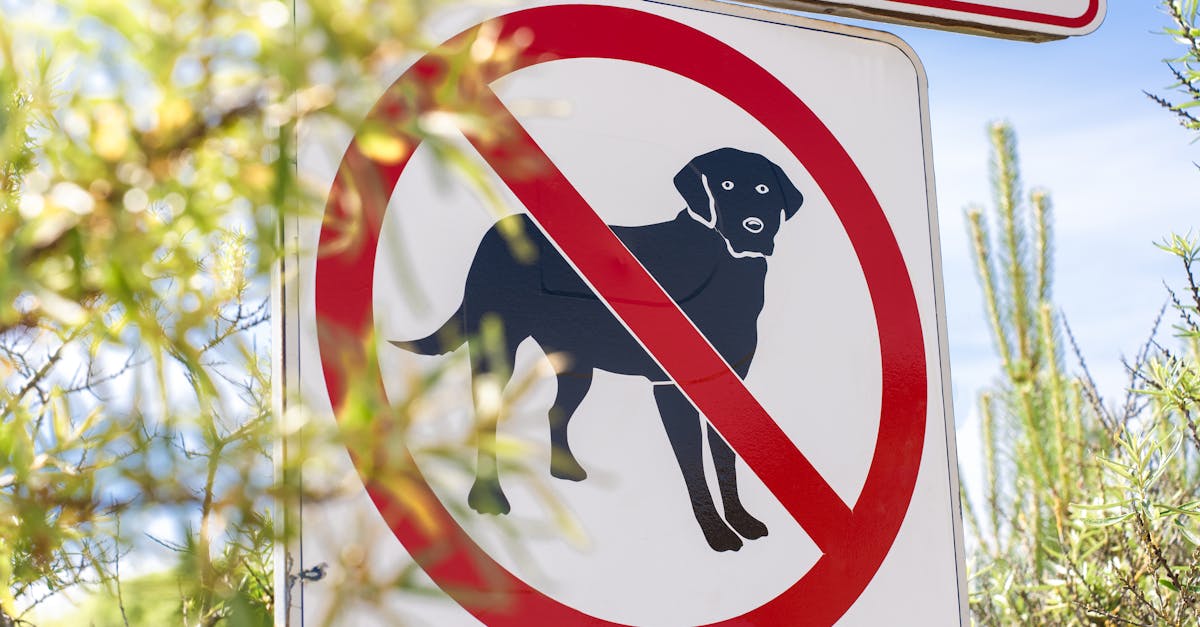 découvrez le droit de l'environnement : principes, régulations et enjeux actuels pour défendre la planète. informez-vous sur les lois qui protègent la biodiversité et encouragent un développement durable.