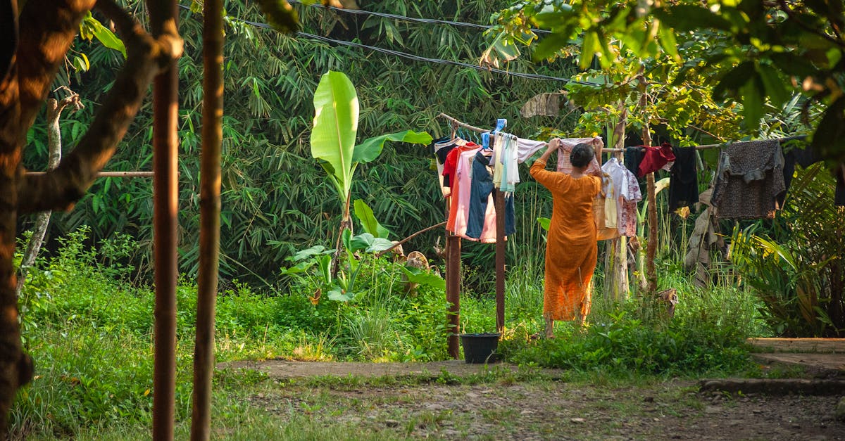 découvrez comment préserver notre planète avec des pratiques respectueuses de l'environnement. explorez des solutions durables pour un avenir écologique et sain.