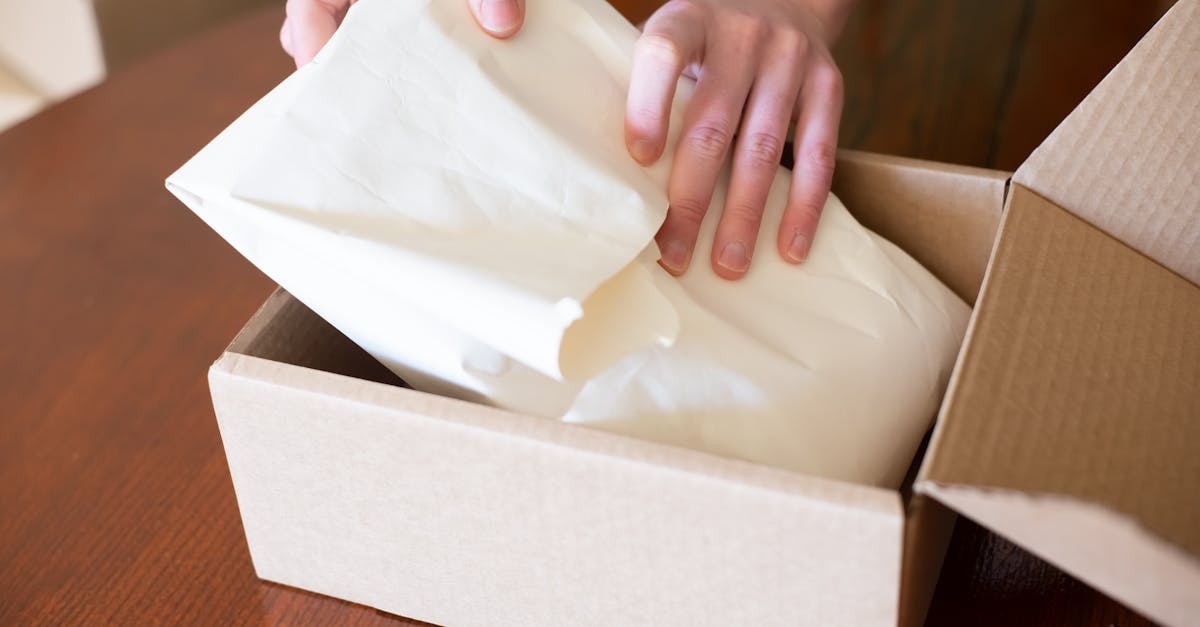 découvrez des plateformes éco-responsables qui favorisent une consommation durable et respectueuse de l'environnement. explorez nos solutions innovantes pour un avenir plus vert.