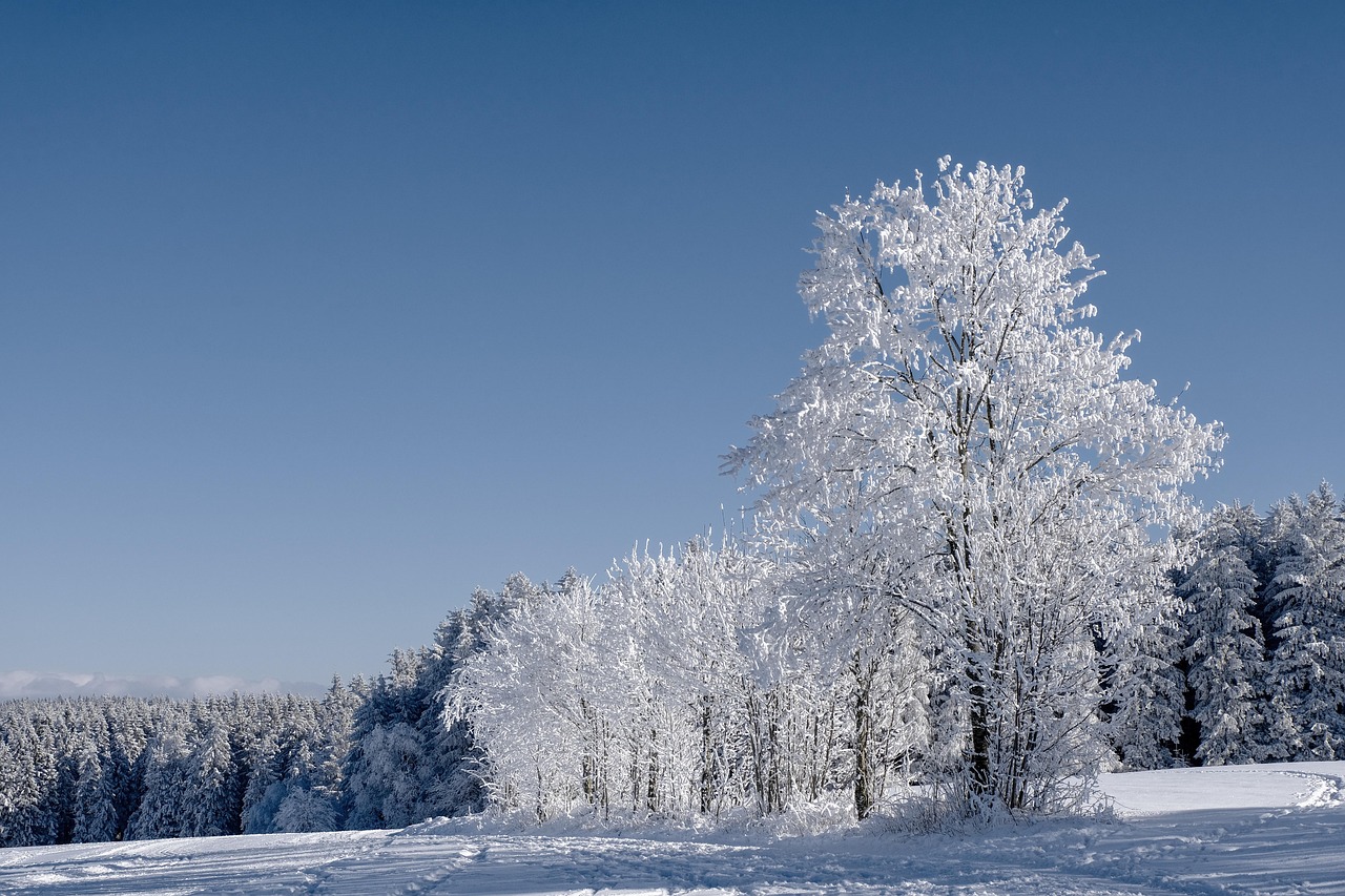 découvrez des paysages magnifiques et inspirants qui captivent par leur beauté naturelle et leur diversité.