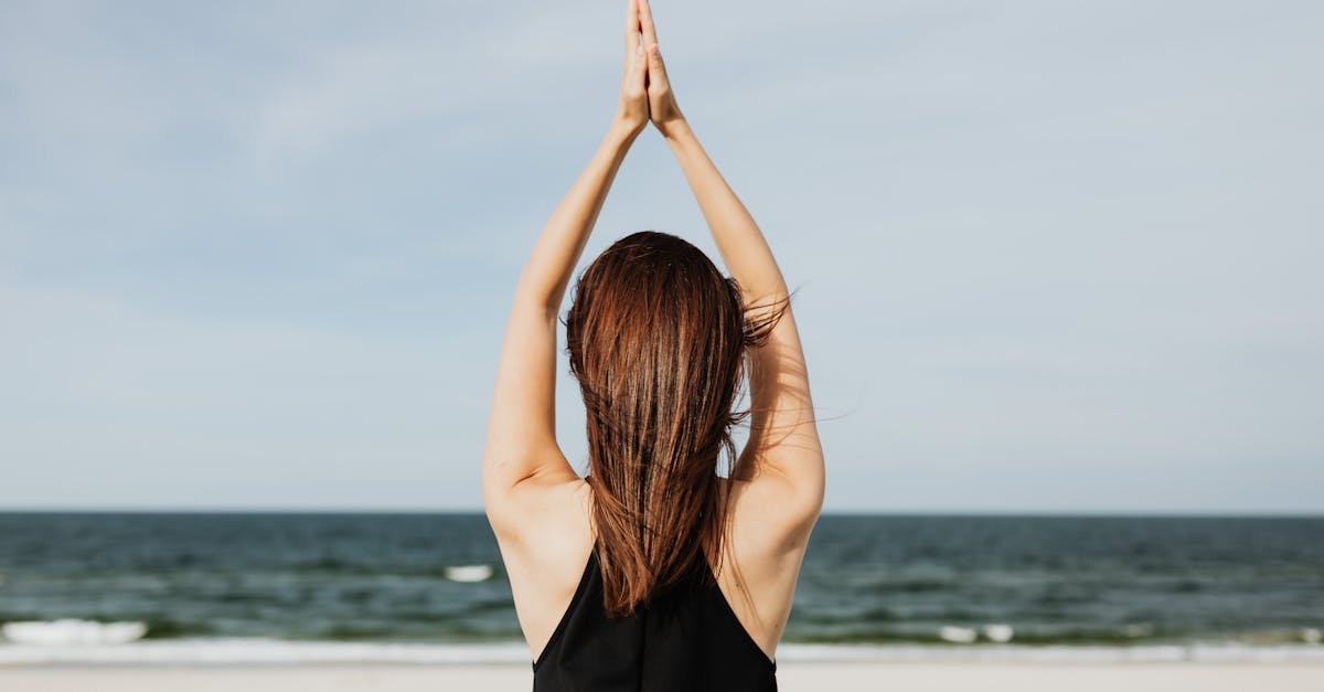 découvrez les dernières tendances et solutions en matière de renouvellement énergétique. explorez comment les innovations vertes et les technologies durables peuvent transformer notre avenir énergétique tout en préservant notre planète.