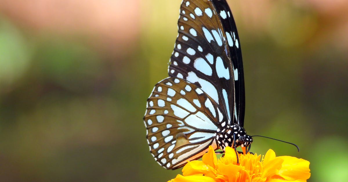 découvrez des solutions concrètes pour la prévention climatique, afin de protéger notre planète. apprenez comment chacun peut agir pour réduire son empreinte écologique et promouvoir un avenir durable.