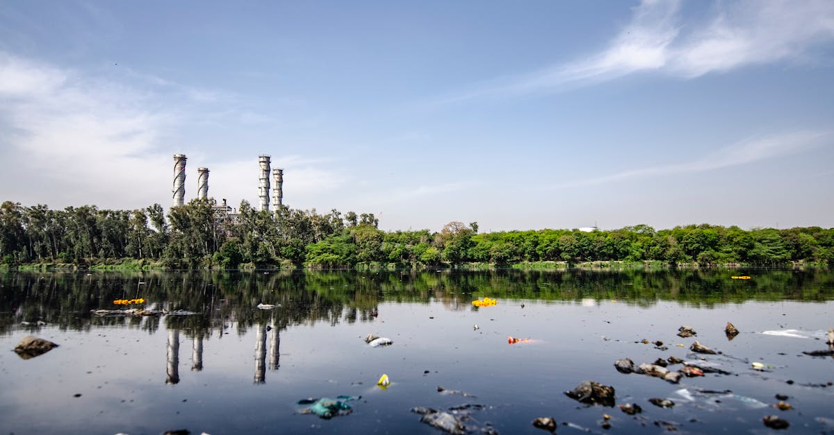 découvrez l'impact destructeur de la pollution plastique sur notre environnement. explorez les causes, les conséquences et les solutions pour réduire notre empreinte plastique et préserver notre planète pour les générations futures.
