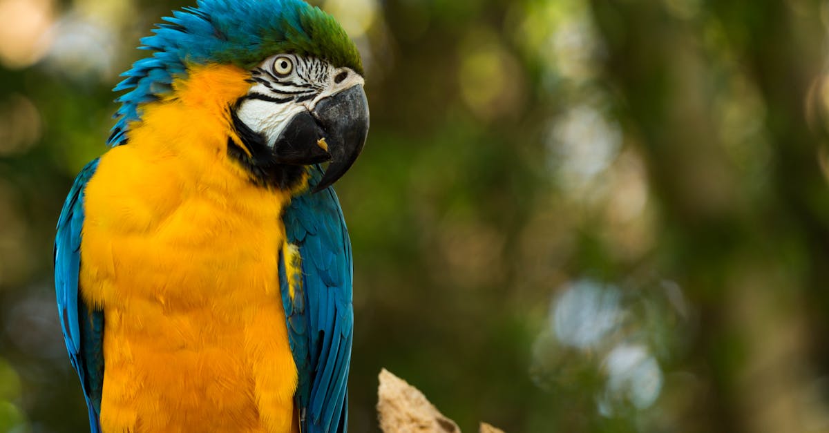 découvrez l'importance de la sensibilisation environnementale et comment elle contribue à la protection de notre planète. adoptez des pratiques durables et engagez-vous pour un avenir plus vert.