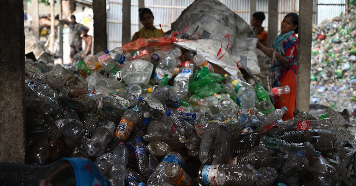 découvrez les systèmes de certification écologique, des normes qui garantissent la durabilité et la préservation de l'environnement. apprenez comment ces certifications aident les entreprises à réduire leur empreinte écologique tout en répondant aux attentes des consommateurs soucieux de l'environnement.