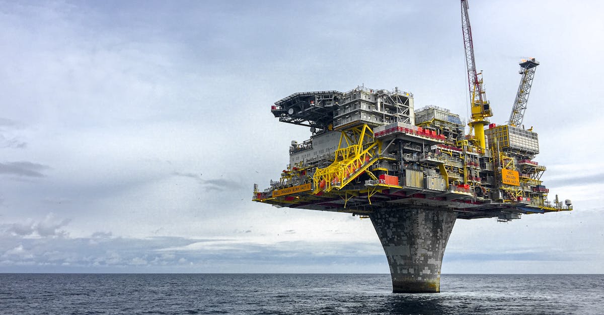 découvrez l'importance des ressources naturelles dans notre écosystème. explorez comment elles façonnent notre économie, soutiennent la biodiversité et influencent notre mode de vie, tout en soulignant l'importance de leur conservation pour les générations futures.