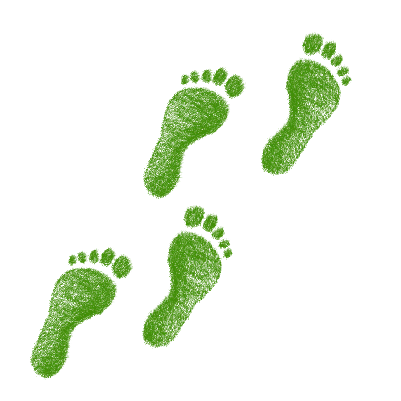 découvrez l'importance de l'empreinte écologique et son impact sur notre planète. apprenez comment évaluer et réduire votre consommation de ressources pour un avenir durable.