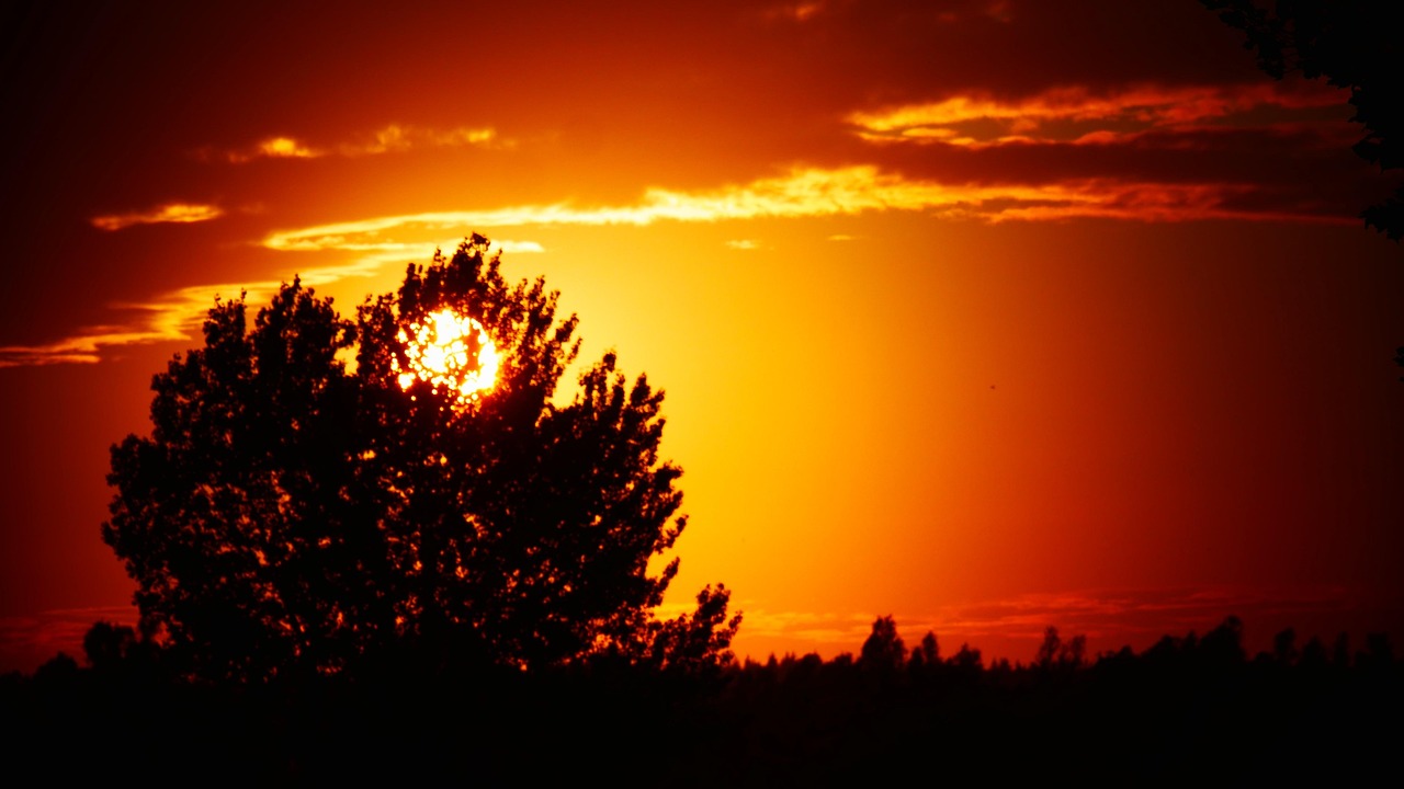 découvrez tout ce qu'il faut savoir sur le passage à l'heure d'été, ses origines, ses avantages et son impact sur notre quotidien. informez-vous sur comment le changement d'heure influence votre routine et l'énergie que vous consommez.