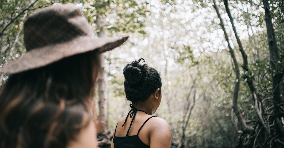 explorez la diversité et l'interconnexion des écosystèmes, des forêts luxuriantes aux récifs coraliens. apprenez comment ces systèmes naturels soutiennent la vie sur terre et pourquoi il est essentiel de les protéger pour les générations futures.