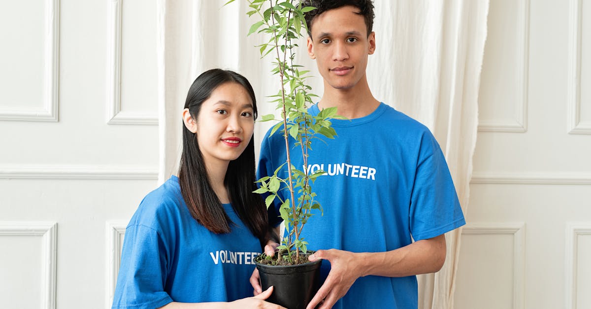 découvrez comment les partenariats environnementaux favorisent une collaboration efficace pour la protection de notre planète. explorez des initiatives innovantes et des solutions durables pour un avenir meilleur.