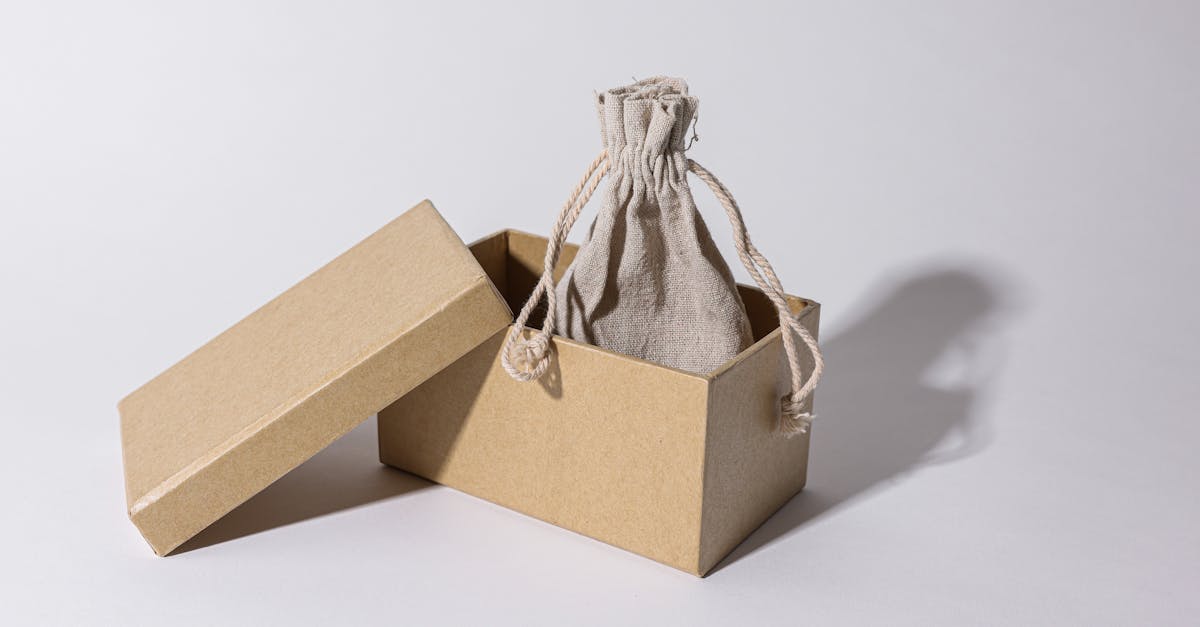 découvrez les impacts environnementaux majeurs des activités humaines sur notre planète. analysez les effets sur la biodiversité, le climat et les ressources naturelles, et explorez des solutions durables pour un avenir meilleur.