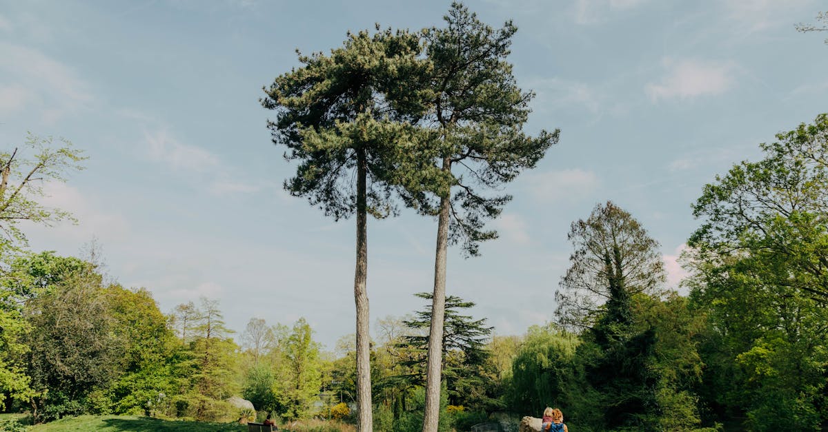 découvrez les enjeux clés de la législation environnementale, ses impacts sur la protection de notre planète, et les mesures mises en place pour promouvoir un développement durable. informez-vous sur les réglementations qui régissent la gestion des ressources naturelles et la préservation de la biodiversité.
