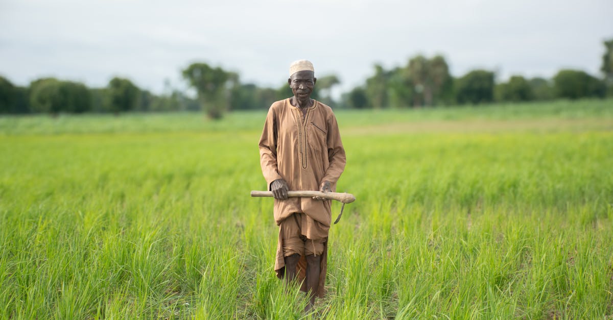 découvrez les principes de l'agriculture durable, une approche innovante visant à protéger l'environnement tout en garantissant des ressources alimentaires pour les générations futures. apprenez comment cultiver de manière responsable, préserver la biodiversité et réduire l'impact climatique grâce à des pratiques agricoles durables.