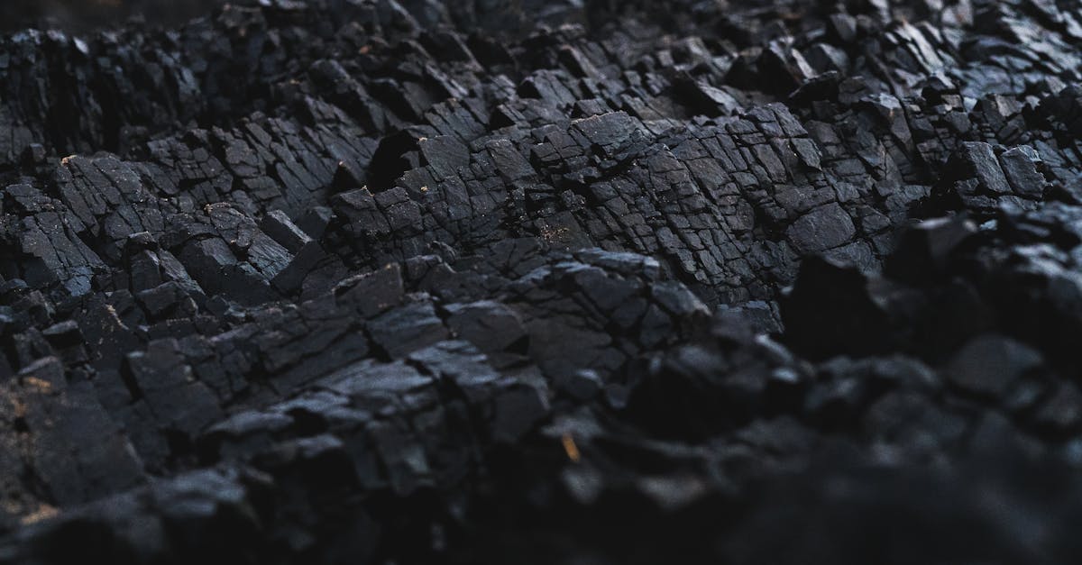 découvrez les enjeux de la neutralité carbone et comment atteindre un équilibre écologique. explorez des stratégies efficaces pour réduire votre empreinte carbone et contribuer à un avenir durable.