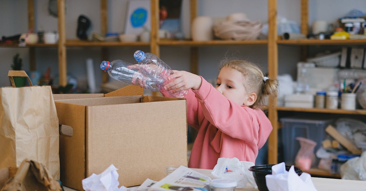 découvrez l'éducation environnementale, un processus essentiel pour sensibiliser les jeunes et les adultes aux enjeux écologiques. apprenez comment intégrer des pratiques durables et promouvoir la protection de notre planète à travers des programmes éducatifs inspirants.