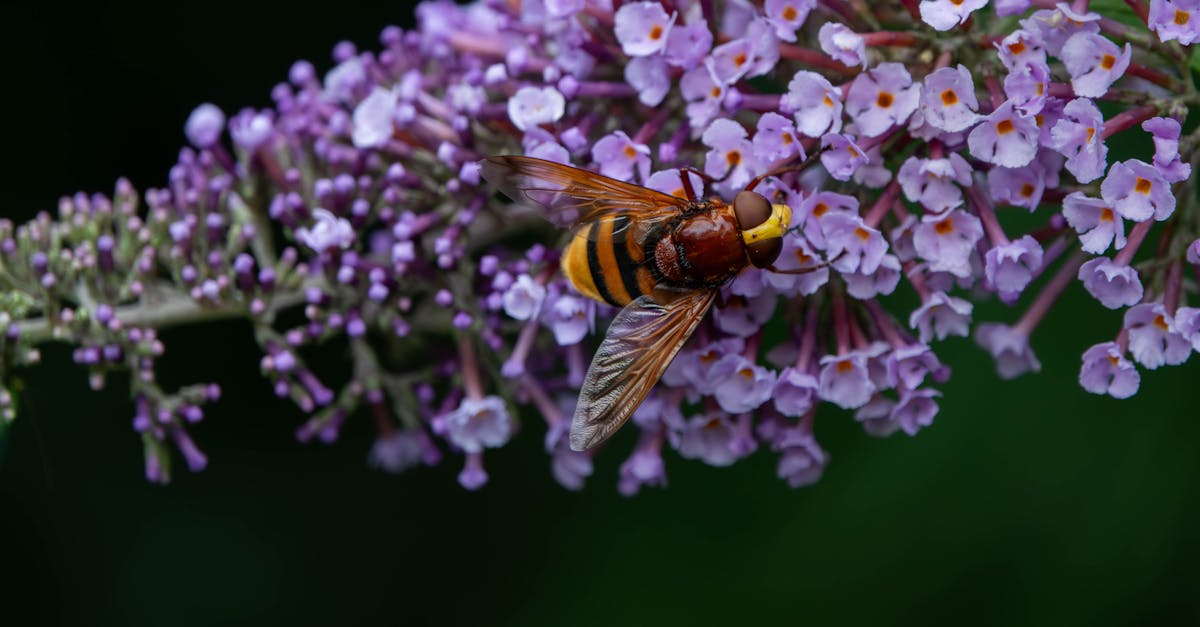 découvrez la démocratie écologique : un modèle politique qui place l'environnement au cœur des décisions, encourage la participation citoyenne et cherche à concilier justice sociale et préservation de la planète.