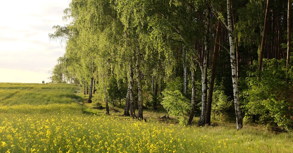 découvrez notre sélection d'eco-tools, des outils écologiques et durables pour vous aider à minimiser votre impact environnemental. adoptez un mode de vie plus responsable avec des produits innovants et respectueux de la planète.
