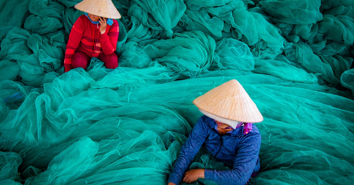 découvrez les pratiques durables à adopter dès aujourd’hui pour protéger l’environnement, optimiser vos ressources et contribuer à un avenir plus responsable et écologique.