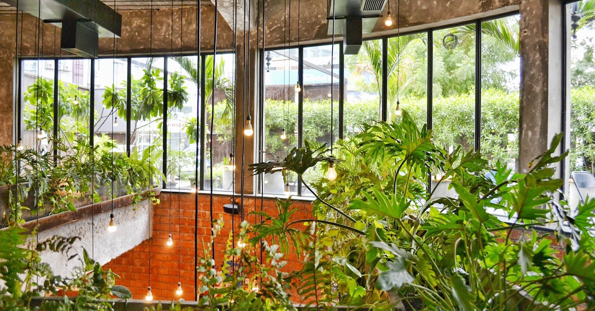 découvrez l'art du design durable qui allie esthétique et respect de l'environnement. apprenez comment créer des espaces fonctionnels et écologiques tout en favorisant un mode de vie éco-responsable.