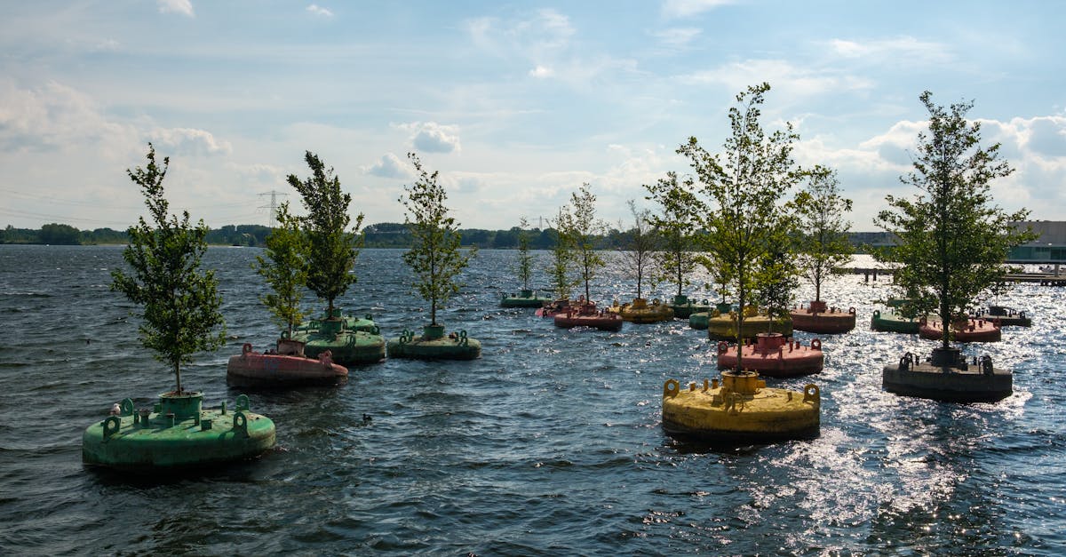 découvrez l'importance de la biodiversité, cette richesse naturelle essentielle à l'équilibre des écosystèmes. apprenez comment préserver notre planète et la diversité des espèces pour un avenir durable.