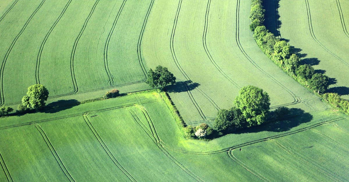 découvrez l'importance de la réglementation environnementale dans la protection de notre planète. apprenez comment ces lois et normes visent à préserver les ressources naturelles, réduire la pollution et promouvoir un développement durable pour les générations futures.