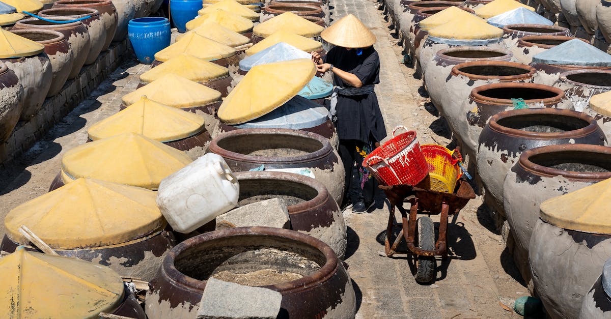découvrez des stratégies et des pratiques essentielles pour la préservation des ressources, afin de garantir un avenir durable pour notre planète. apprenez comment réduire le gaspillage et adopter des solutions respectueuses de l'environnement.