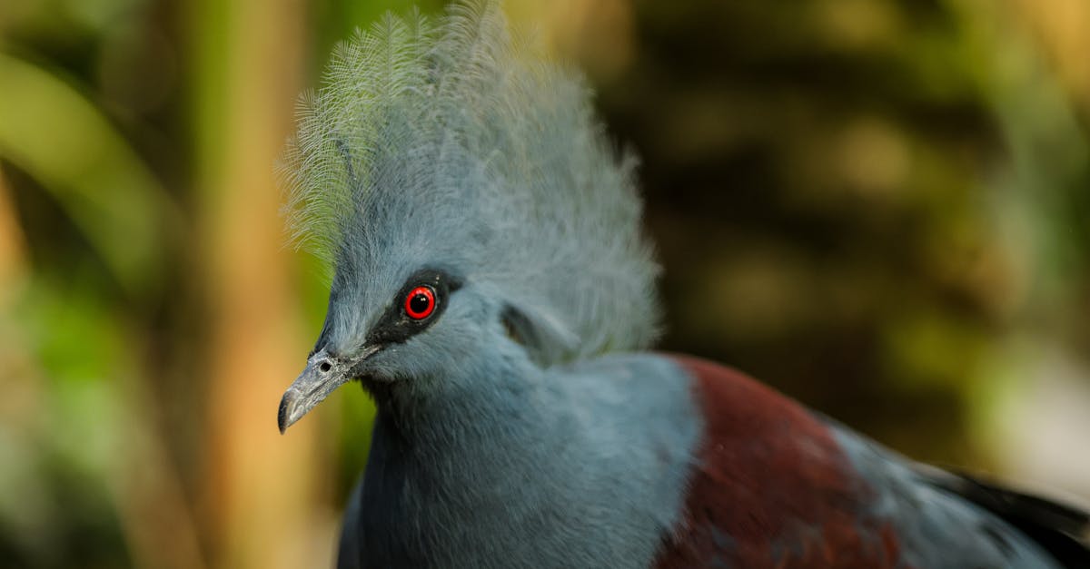 découvrez la richesse et la diversité de la vie sur terre avec notre exploration de la biodiversité. ce concept essentiel englobe les différentes espèces, leurs habitats et les interactions complexes qui soutiennent nos écosystèmes. engagez-vous pour la protection de la biodiversité et apprenez comment chaque geste compte pour préserver notre planète.