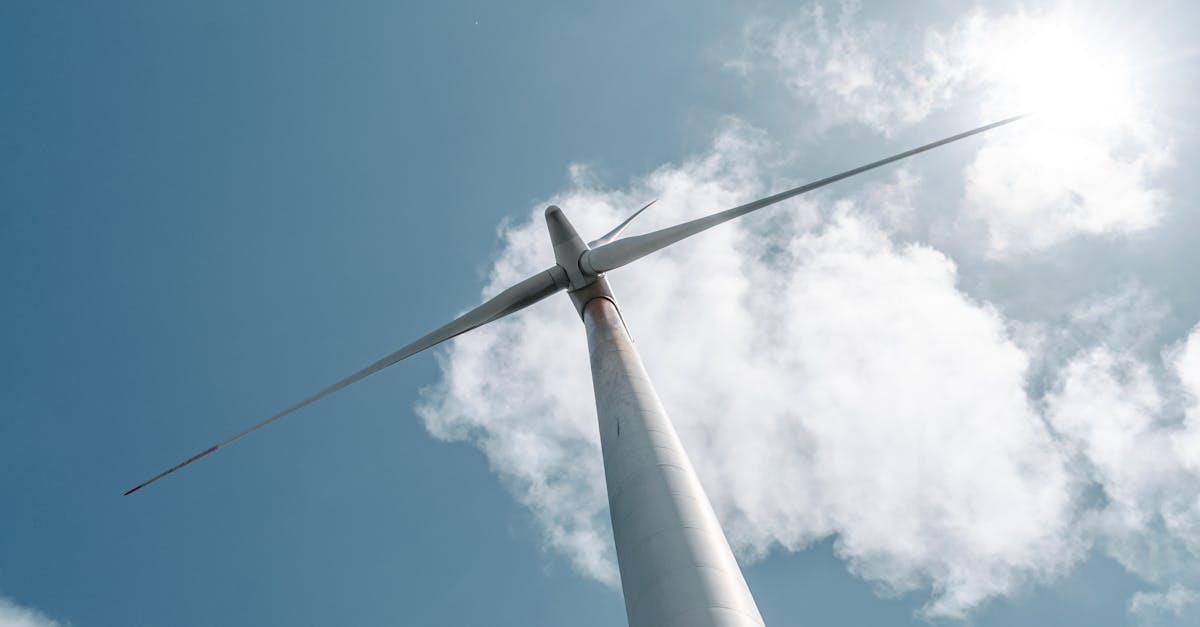 découvrez les ressources renouvelables, essentielles pour un avenir durable. apprenez comment elles contribuent à la protection de l'environnement et à la réduction des émissions de carbone, tout en offrant des alternatives écologiques aux énergies traditionnelles.