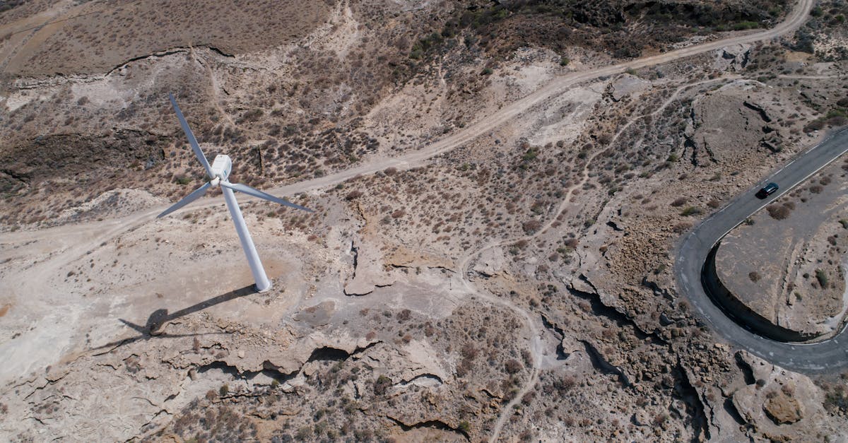 découvrez les meilleures pratiques en matière de développement de produits durables, alliant innovation et respect de l'environnement pour un avenir plus vert.