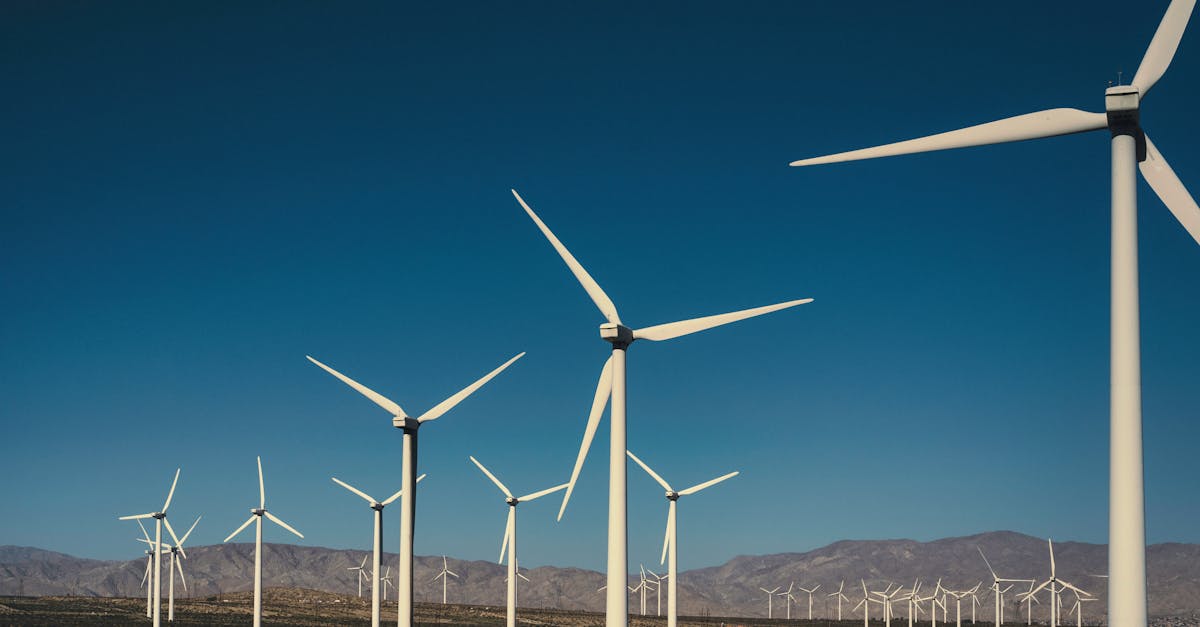 découvrez comment réduire votre empreinte carbone et contribuer à la protection de l'environnement. apprenez des astuces pratiques et des stratégies efficaces pour diminuer votre impact écologique au quotidien.