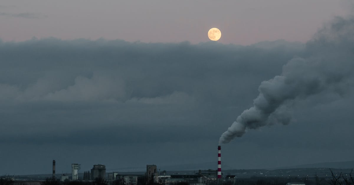 découvrez notre approche de la qualité environnementale, qui vise à promouvoir des pratiques durables et à protéger notre écosystème. engagez-vous avec nous pour un avenir plus vert et une planète en meilleure santé.