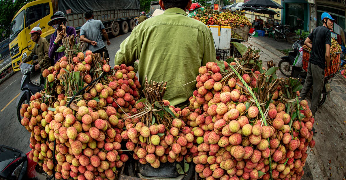 découvrez comment la dynamique de l'économie locale influence le développement communautaire, la création d'emplois et le soutien aux entreprises de proximité. plongez dans les initiatives qui stimulent la croissance et renforcent le tissu social de votre région.