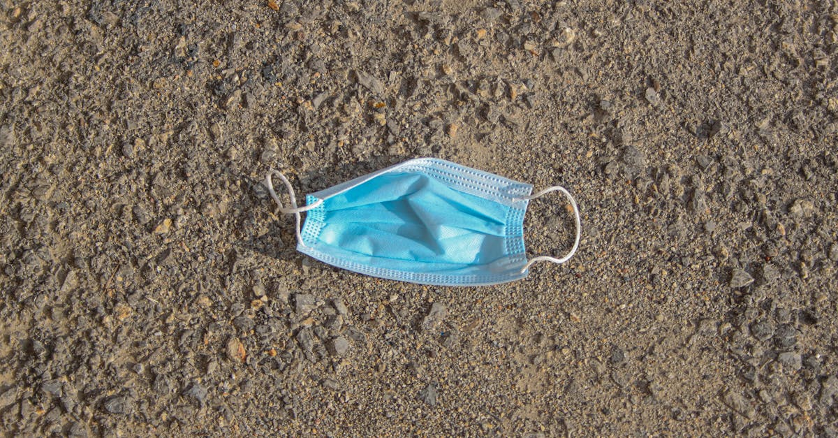 découvrez l'importance de la protection des sols pour notre environnement. explorez des solutions durables et innovantes pour préserver la qualité des terres, maintenir la biodiversité et lutter contre l'érosion. engagez-vous pour un avenir plus vert !