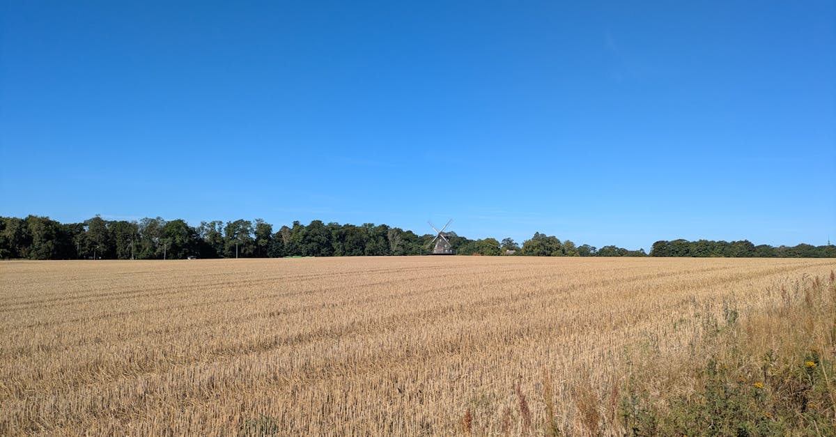 découvrez comment assurer un financement durable pour vos projets et organisations grâce à des stratégies innovantes, des partenariats responsables et des conseils pratiques pour un impact à long terme.