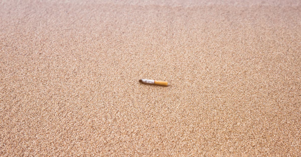 découvrez l'empreinte écologique, un indicateur essentiel pour comprendre l'impact de nos activités sur la planète. apprenez comment réduire votre consommation de ressources et adopter des pratiques durables pour préserver notre environnement.