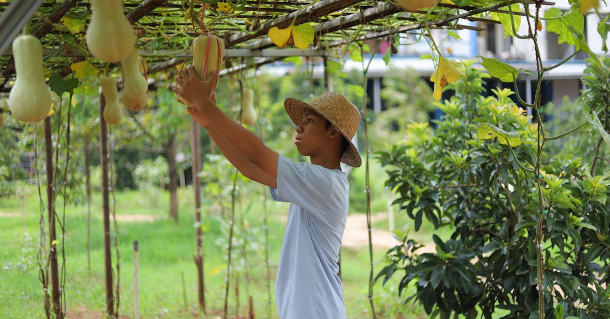 découvrez des conseils pratiques et des astuces pour adopter un mode de vie durable. transformez votre quotidien en intégrant des choix écoresponsables qui préservent notre planète, améliorent votre bien-être et inspirent votre communauté.