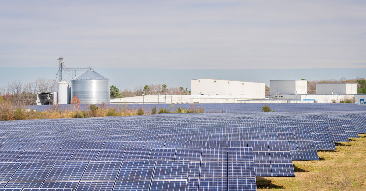 découvrez comment les énergies durables transforment le paysage énergétique mondial. informez-vous sur les solutions écologiques et innovantes pour un avenir plus vert et responsable grâce à des sources d'énergie renouvelables.