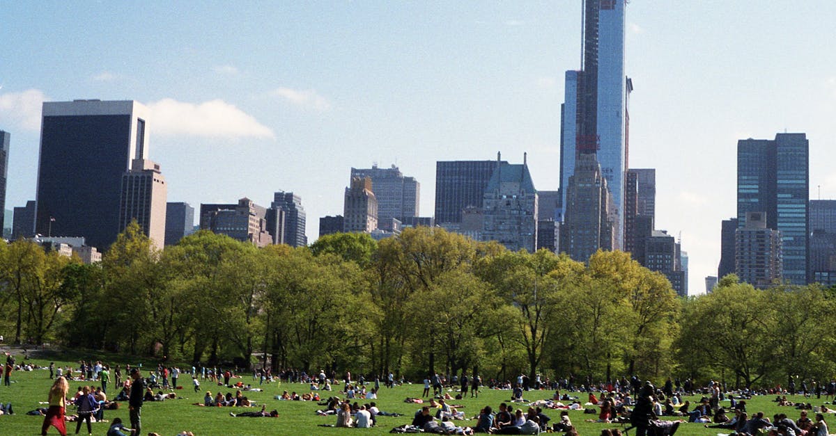 découvrez les bâtiments écologiques et durables qui allient design moderne, efficacité énergétique et respect de l'environnement. apprenez comment ces constructions innovantes contribuent à un avenir plus vert et à la réduction de l'empreinte carbone.