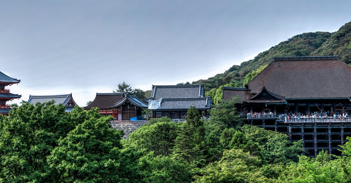 découvrez l'importance des bâtiments écologiques pour un avenir durable. apprenez comment ces constructions innovantes utilisent des matériaux respectueux de l'environnement et des technologies énergétiques pour réduire leur impact sur la planète.