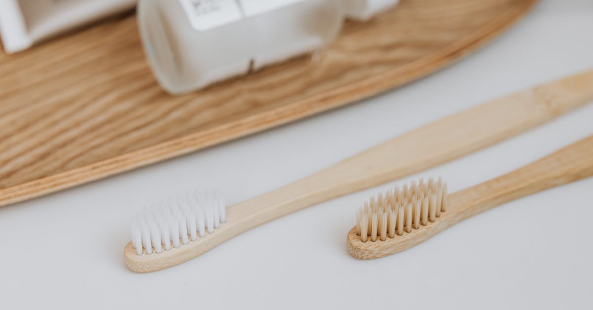 découvrez l'importance des matériaux durables dans la construction et l'industrie. apprenez comment ces ressources respectueuses de l'environnement contribuent à réduire notre empreinte carbone tout en offrant des solutions de qualité et innovantes pour un avenir meilleur.